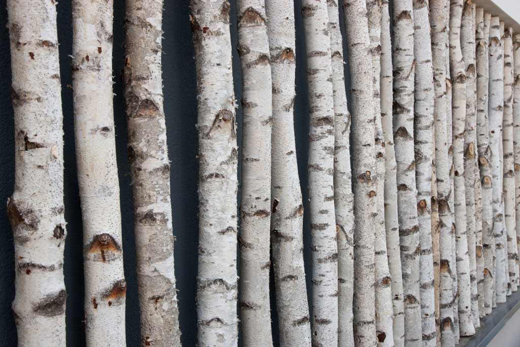 Wohnhaus mit Pool in Walzbachtal