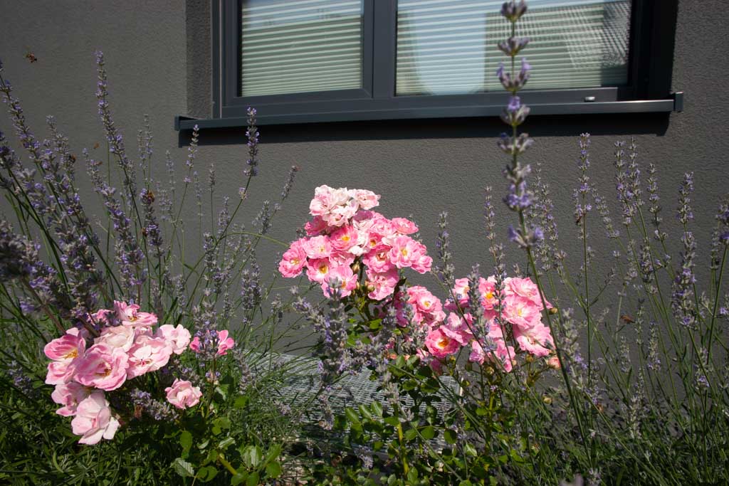 Einfamilienhaus in Pfinztal